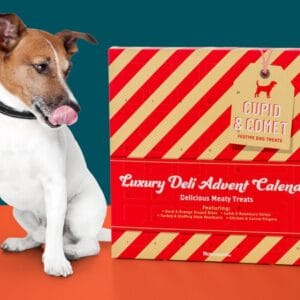 Cupid & Comet Luxury Hundekalender