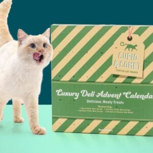 Cupid & Comet Luxury Kattekalender